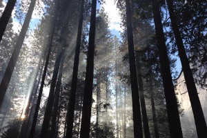 HandMyth The Art Of Chinese Knotting - Authentic Chinese Traditional Craft