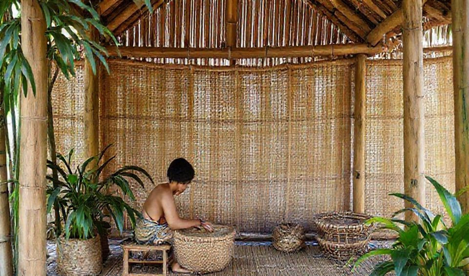 rattan bamboo
