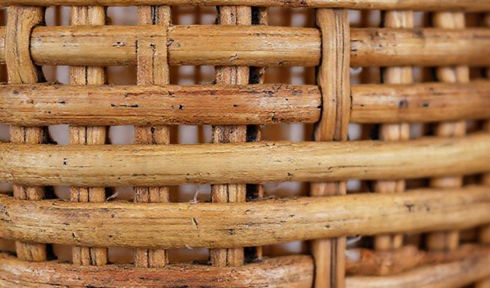 Close-up comparison showing rattan's smooth texture and bamboo's nodal segments