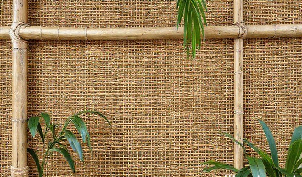 rattan bamboo