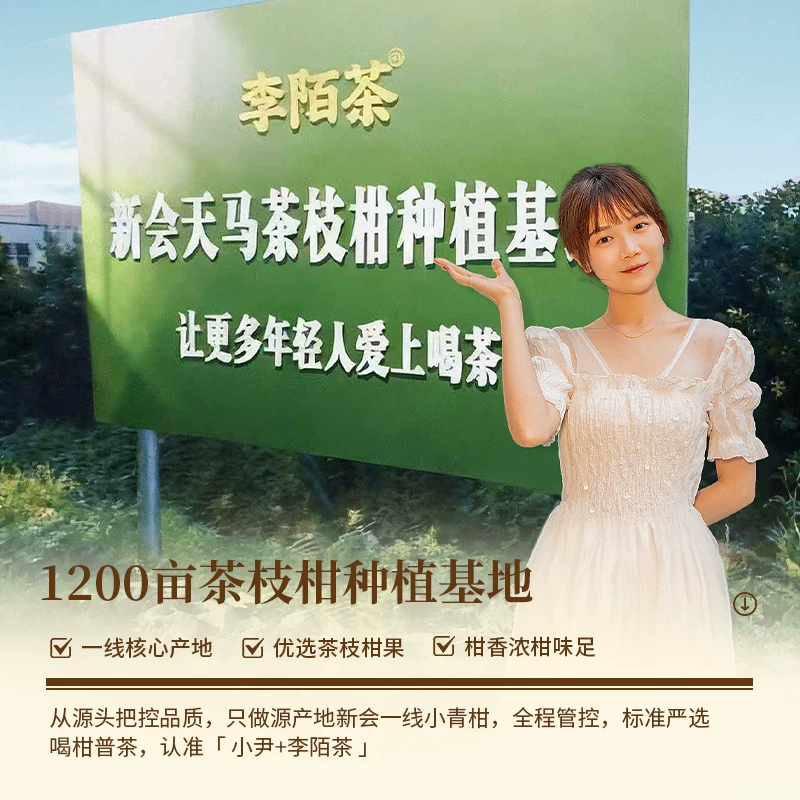 Limor Tea First Harvest Small Green Mandarin Pu-erh Ripe Tea 250g Gift Tin - Authentic Xinhui 10-Year Aged Pu-erh with Orange Peel for Afternoon Tea - Image 3