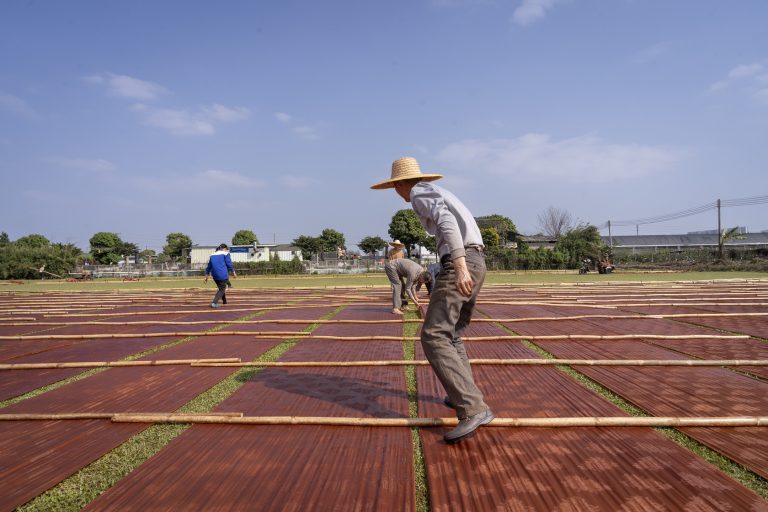 Traditional xiangyunsha silk fabric drying process in Guangdong - Chinese intangible heritage craft